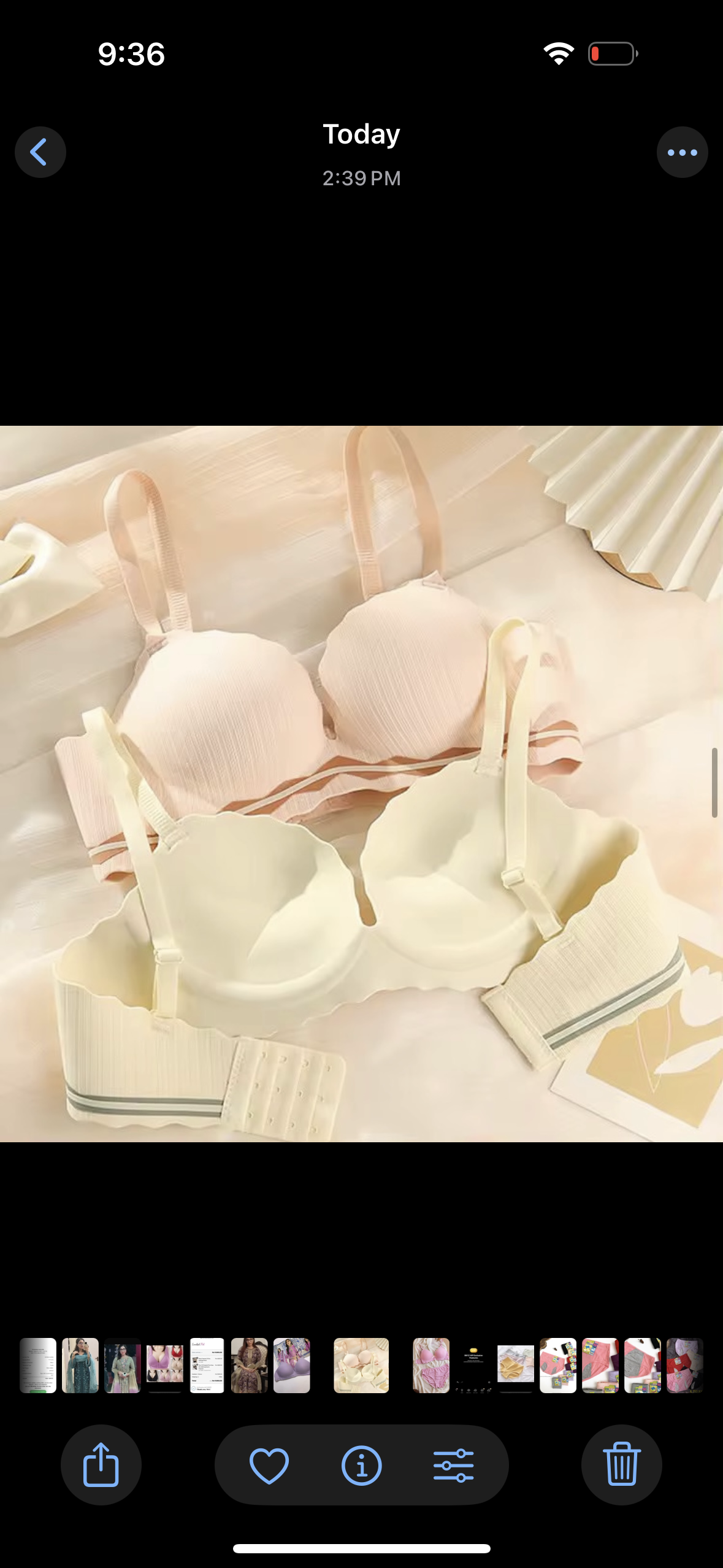 Anti Gravity Seamless double padded push up non wire bra