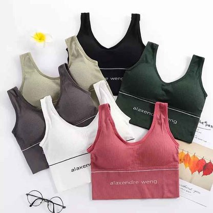 Alaxendre Sports Bra